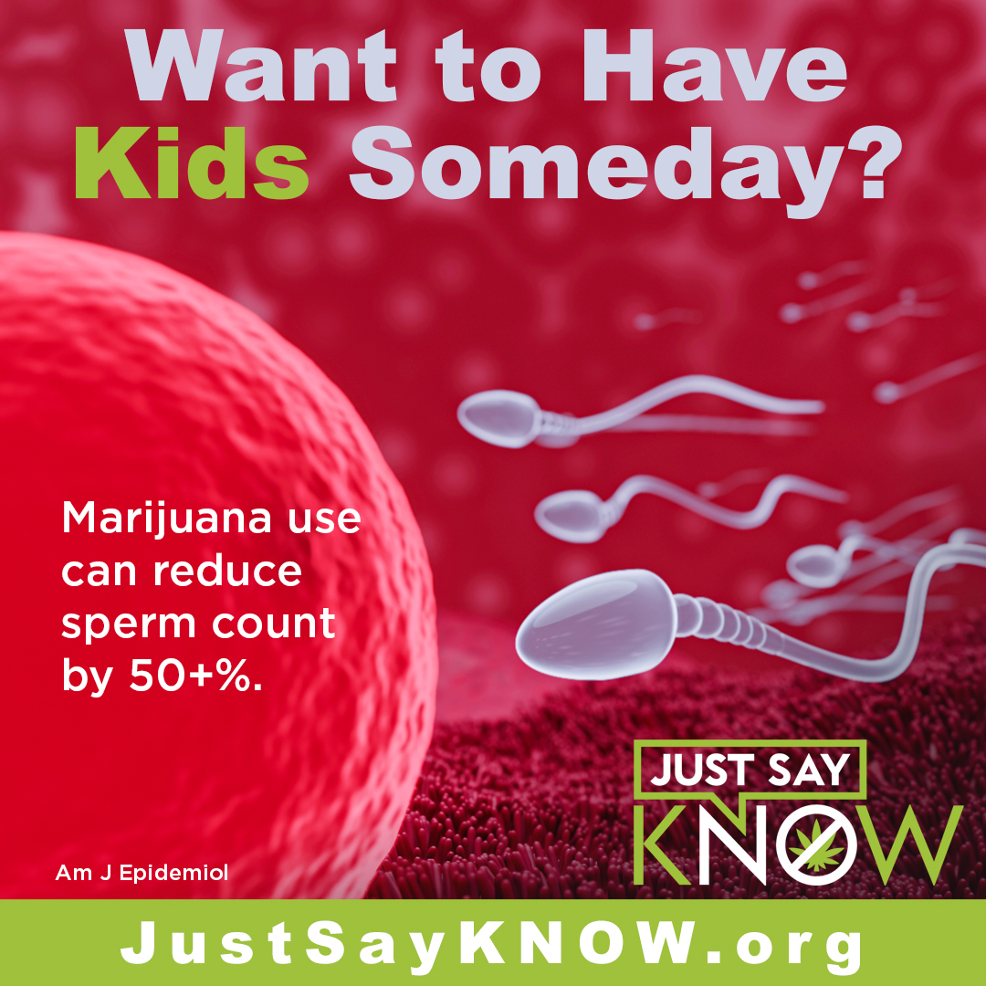 Sperm count