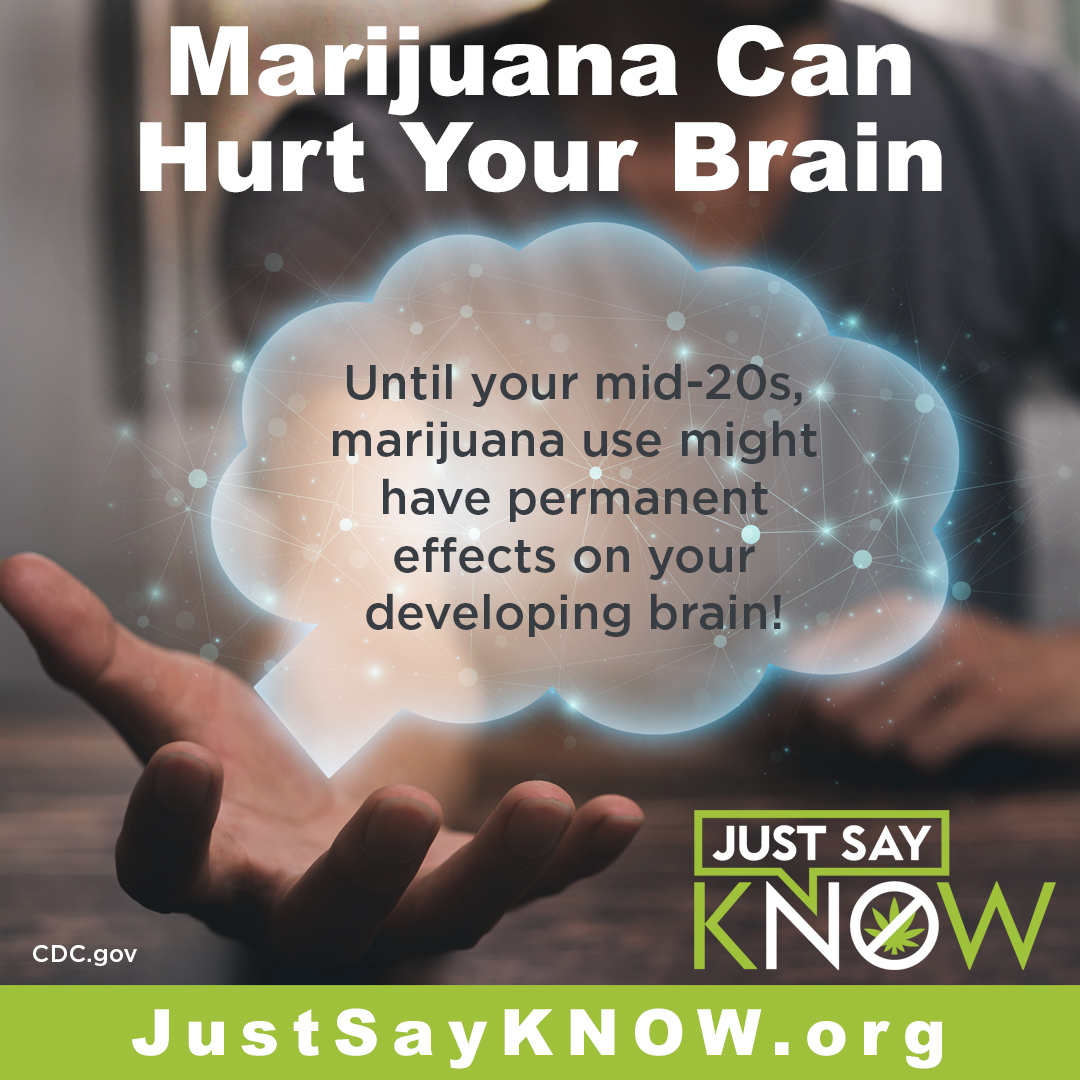 Marijuana hurts the brain