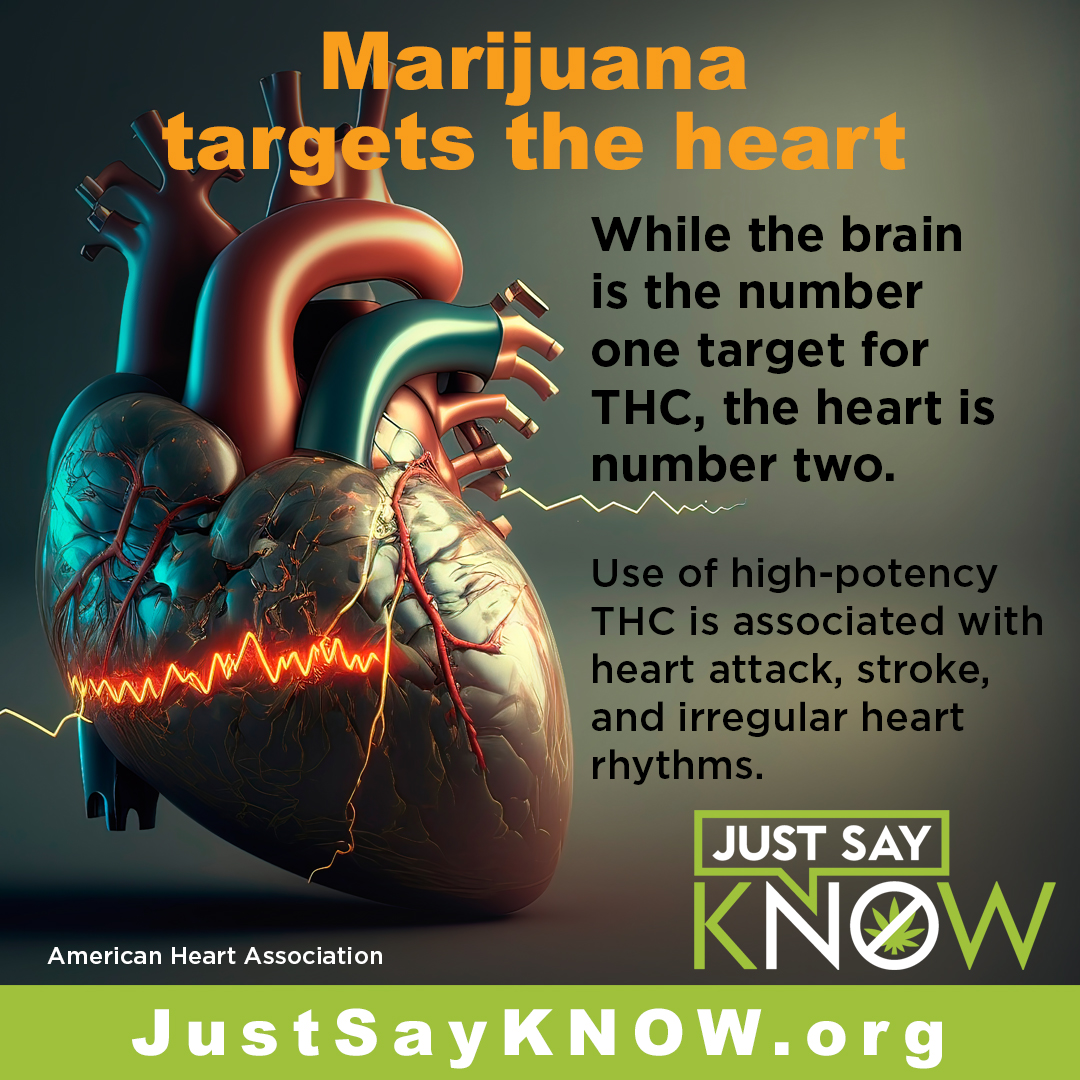 Marijuana targets the heart