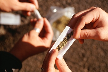 marijuana