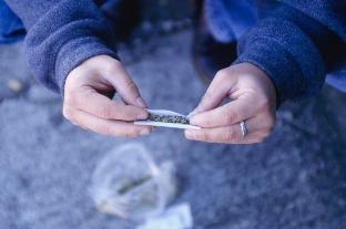 person rolling marijuana joint