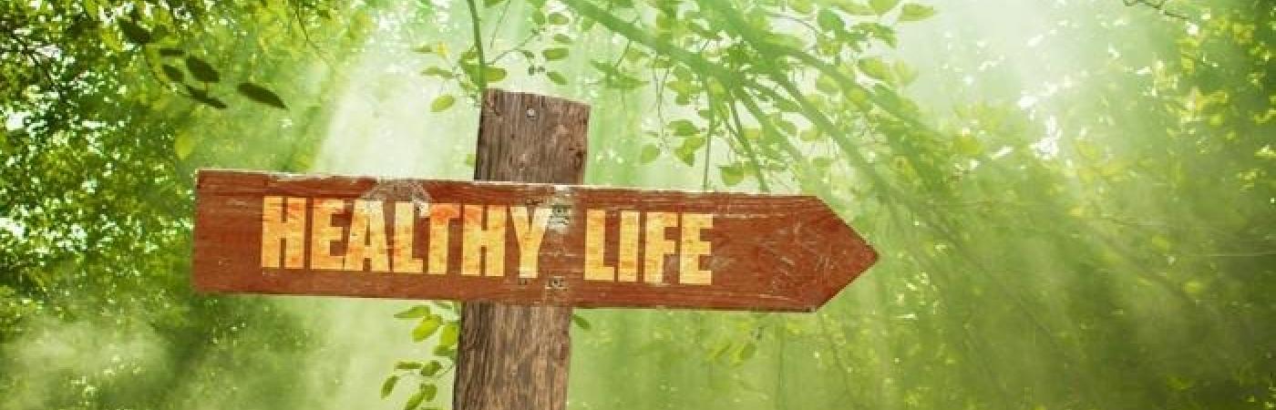 Sign Post that reads "Healthy Life" in the forest