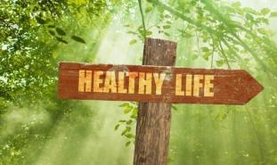 Sign Post that reads "Healthy Life" in the forest
