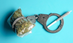 Marijuana handcuffs